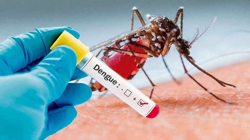 Purísima confirma 5 casos de dengue