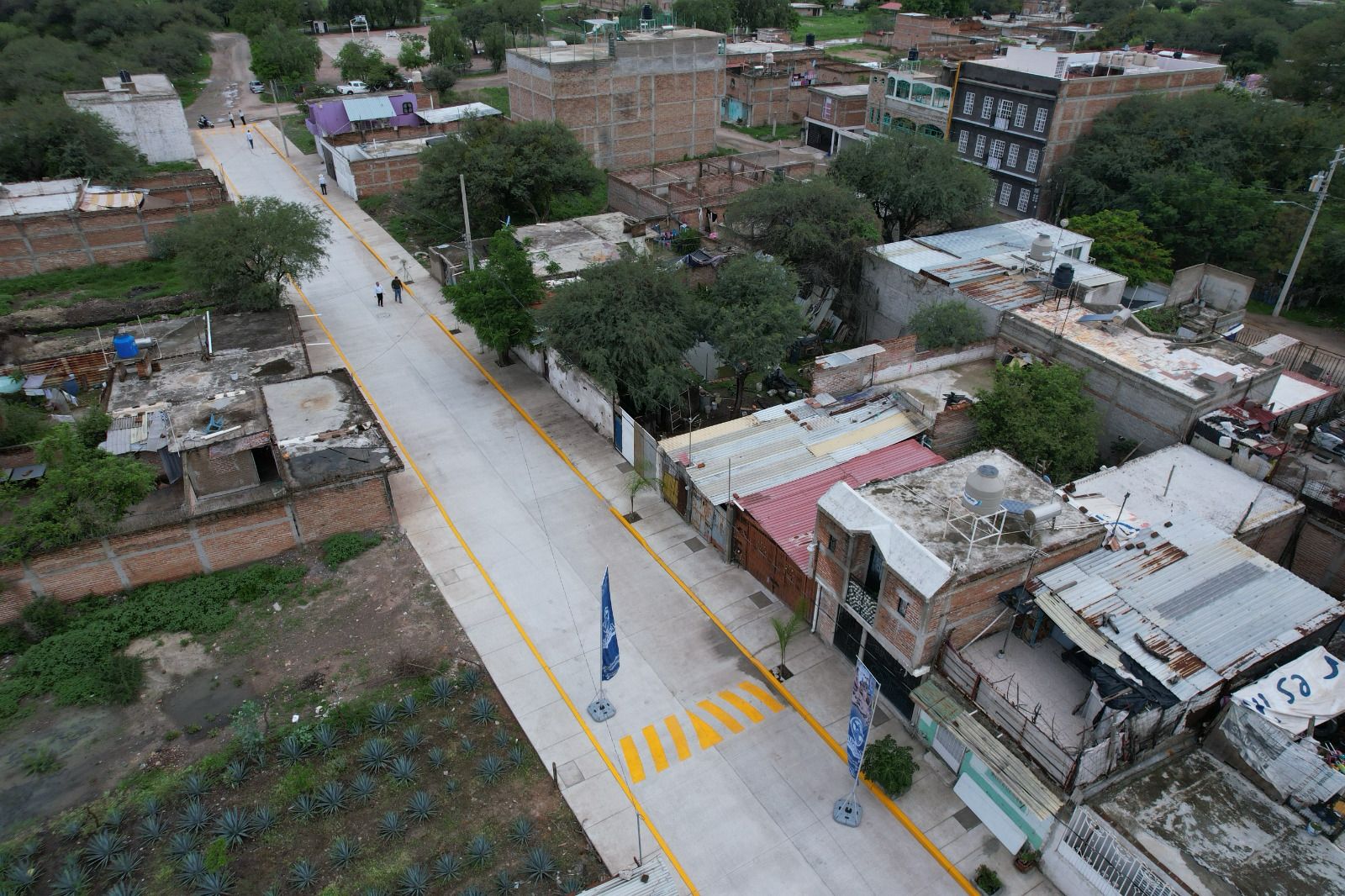 ENTREGAN OFICIALMENTE LA PAVIMENTACIÓN DE LA CALLE LAS PALMAS EN PURÍSIMA