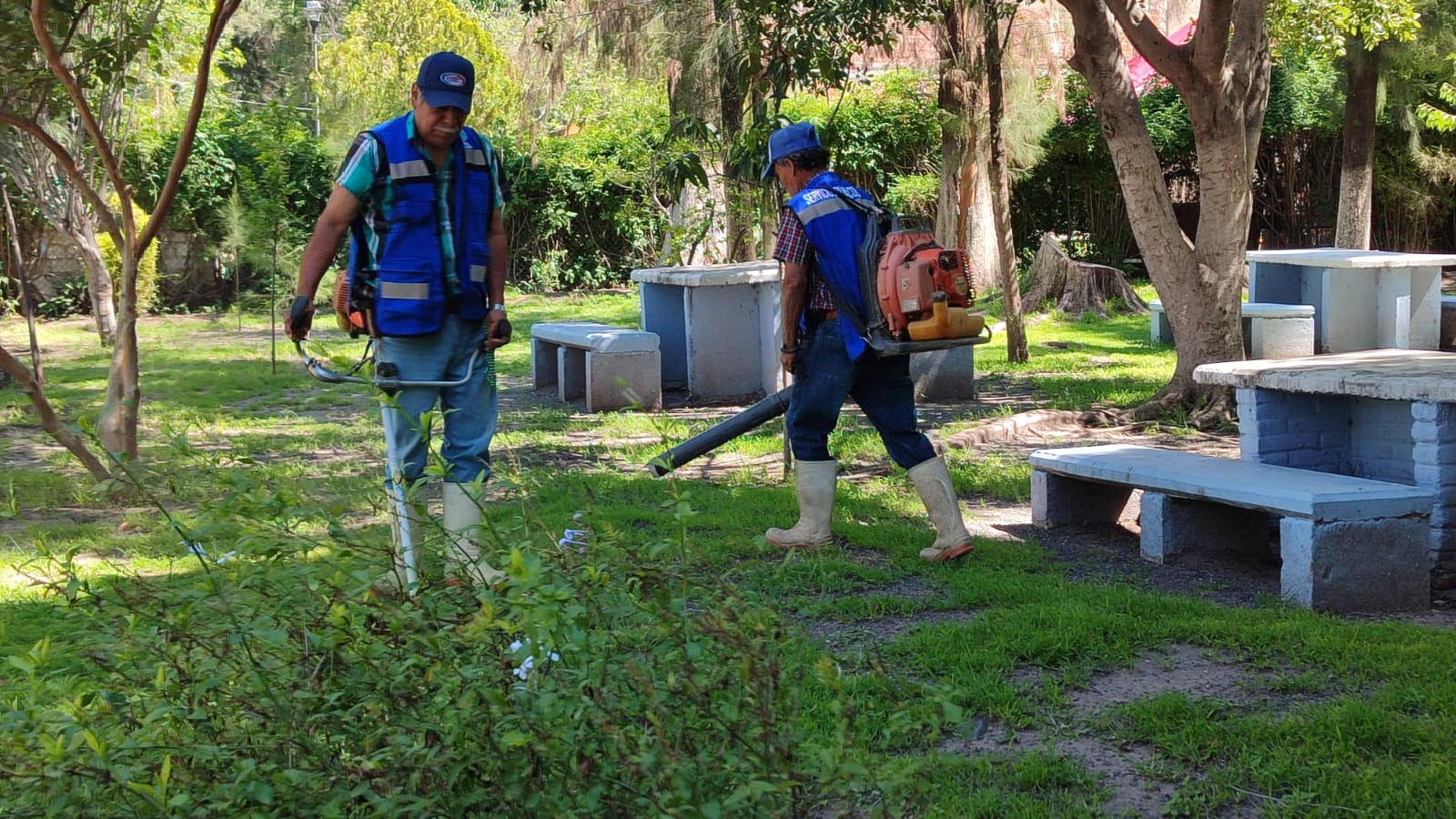 El Parque de La Alameda de Purísima del Rincón recibió la placa que le acredita como Entorno Saludable